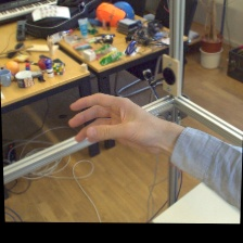 FreiHand input sample 0008