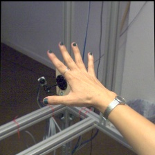 FreiHand input sample 0010